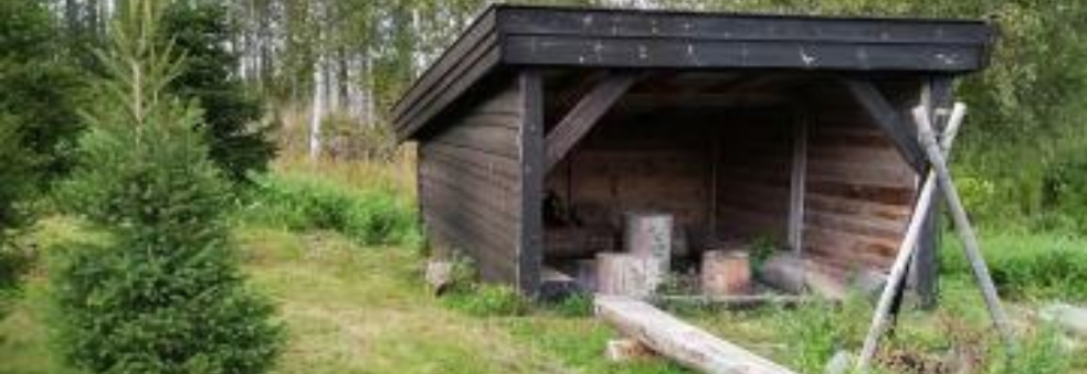 Klubbmesterskap